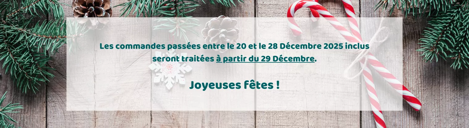 informations expédition noël